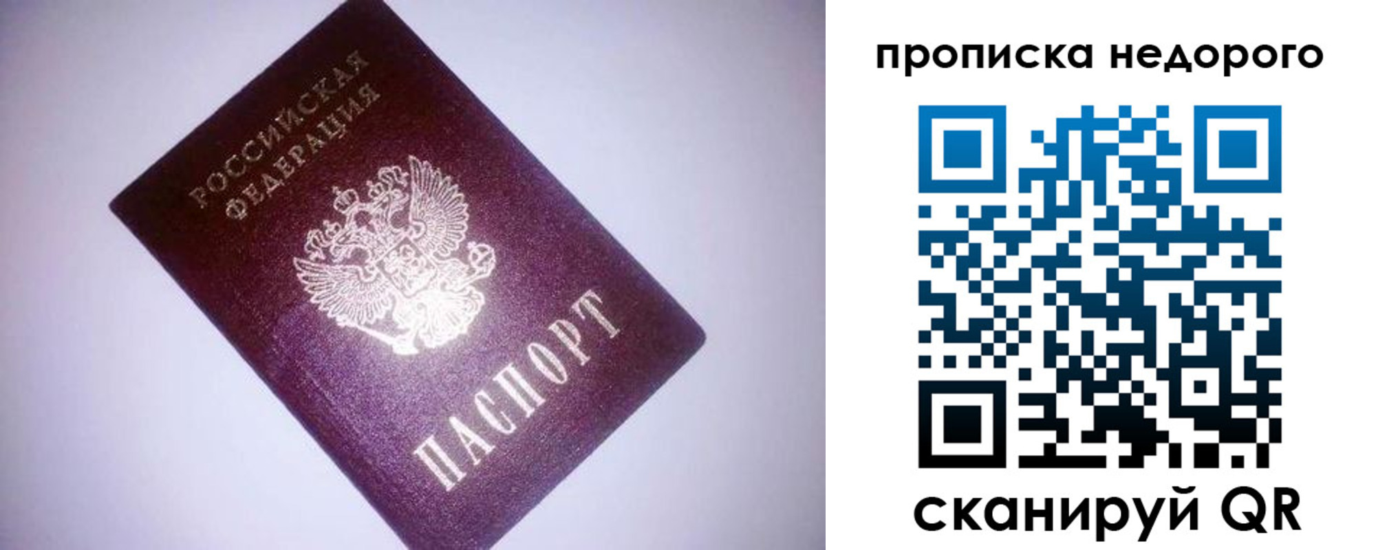 прописка для школы в Светлограде